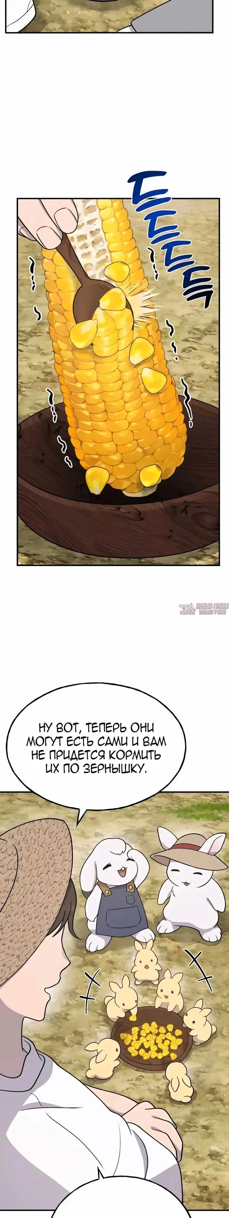 Page 22.000