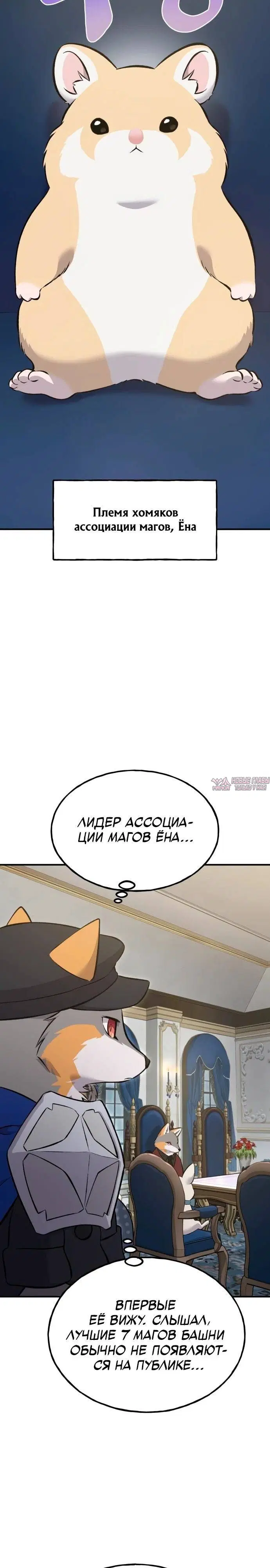 Page 22.000