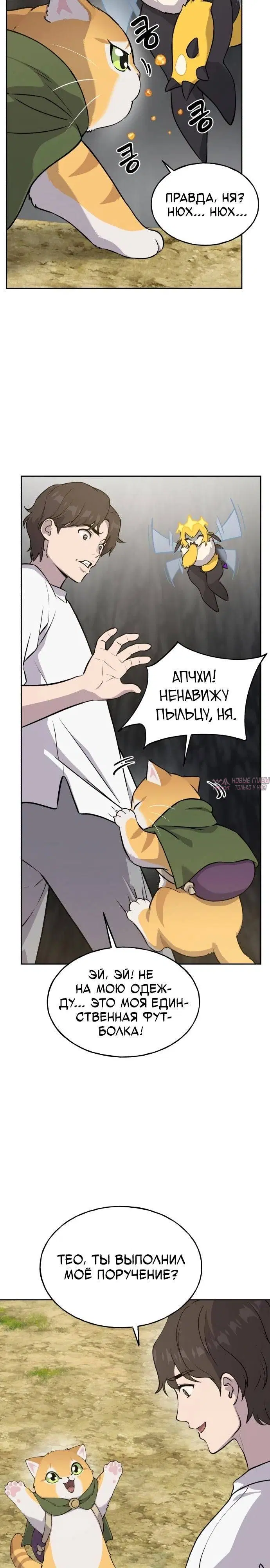Page 22.000