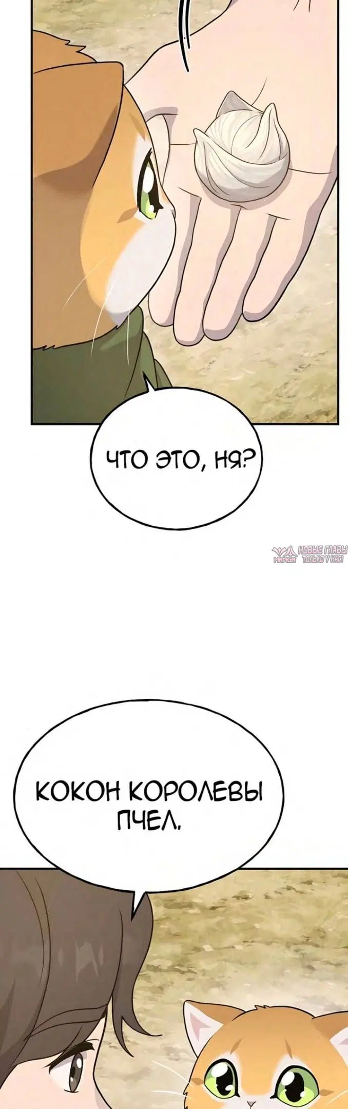Page 23.000
