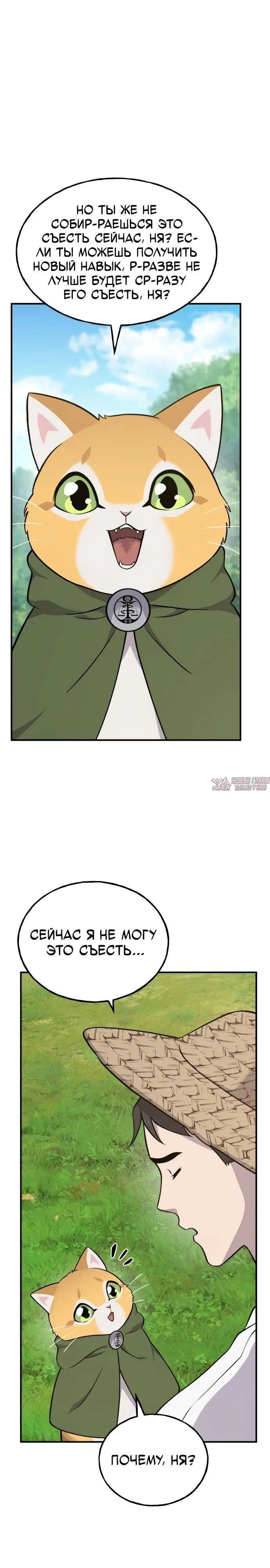 Page 23.000
