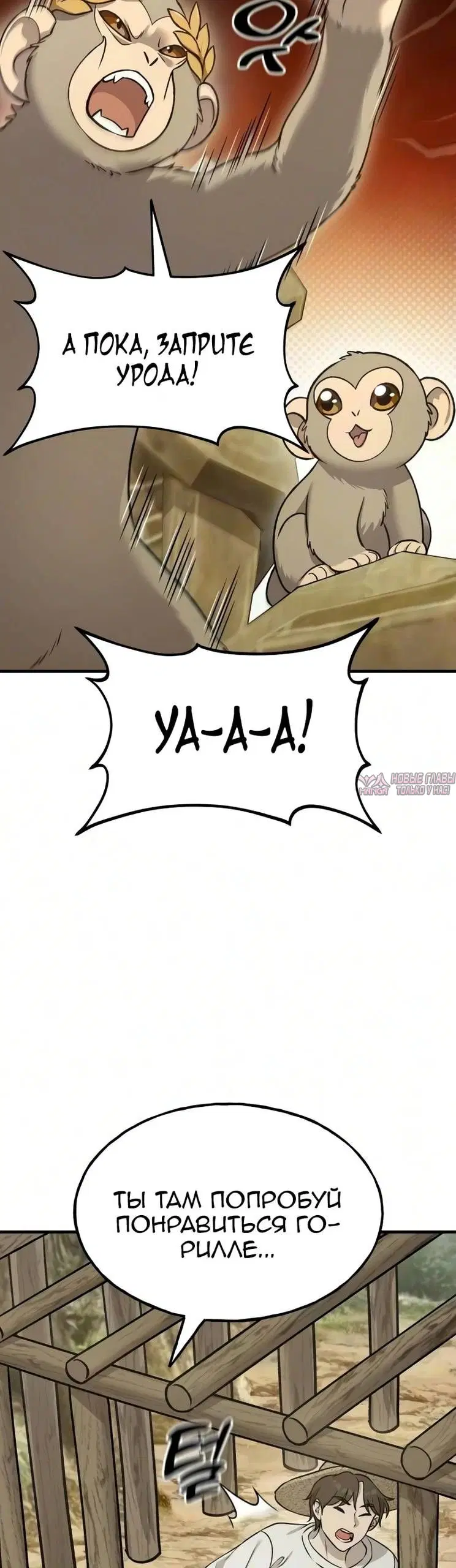 Page 23.000