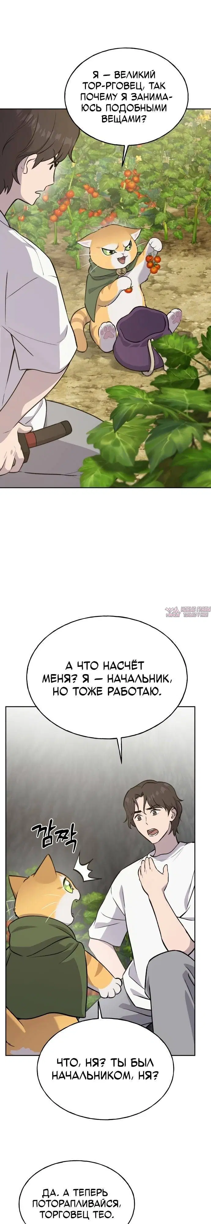Page 23.000