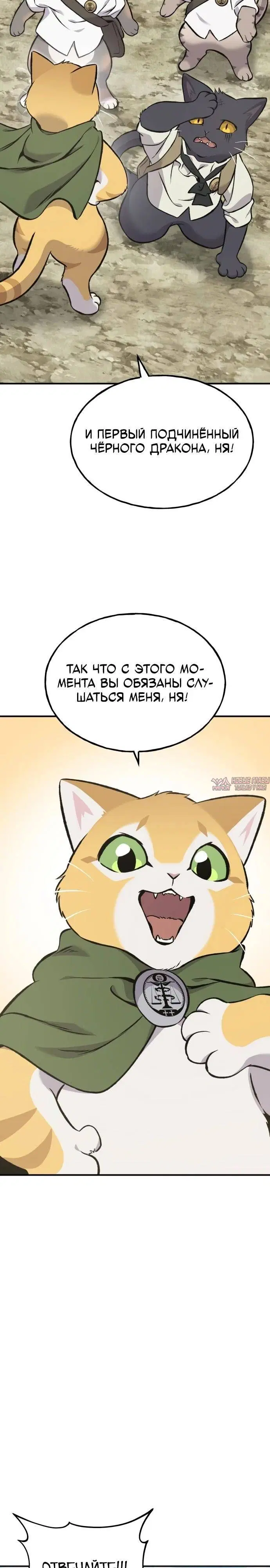 Page 34.000