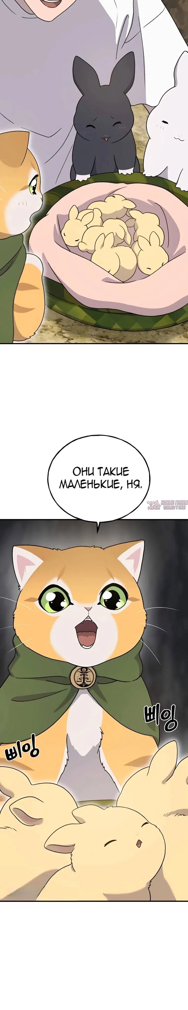 Page 35.000
