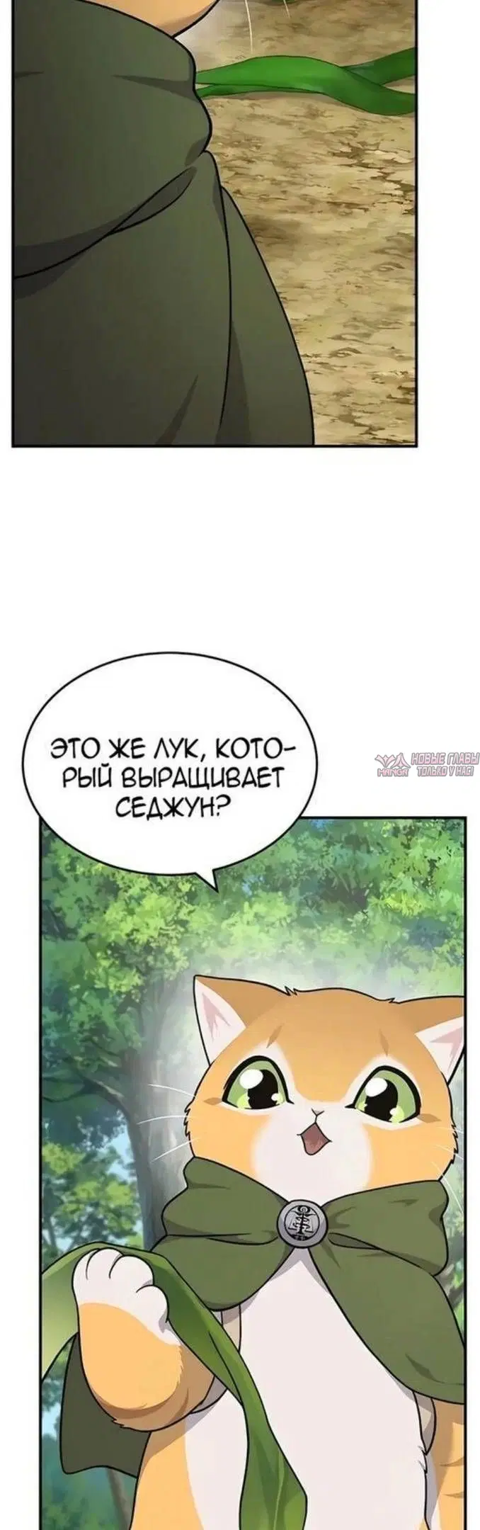 Page 35.000