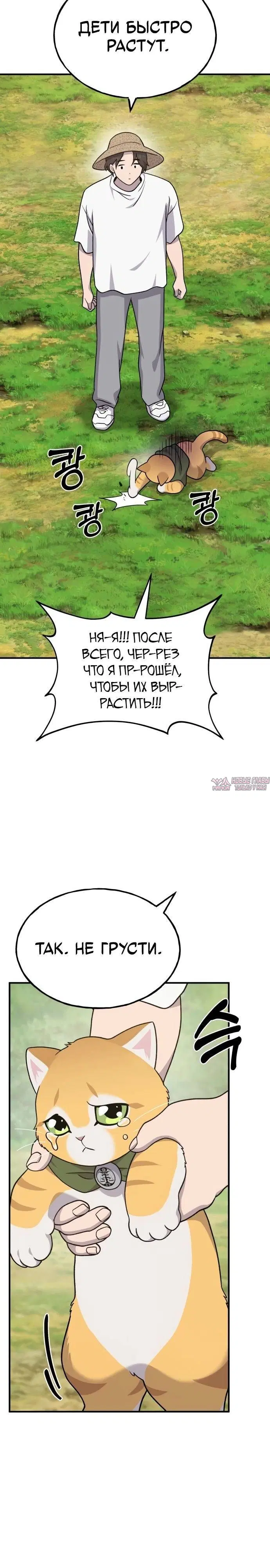 Page 35.000