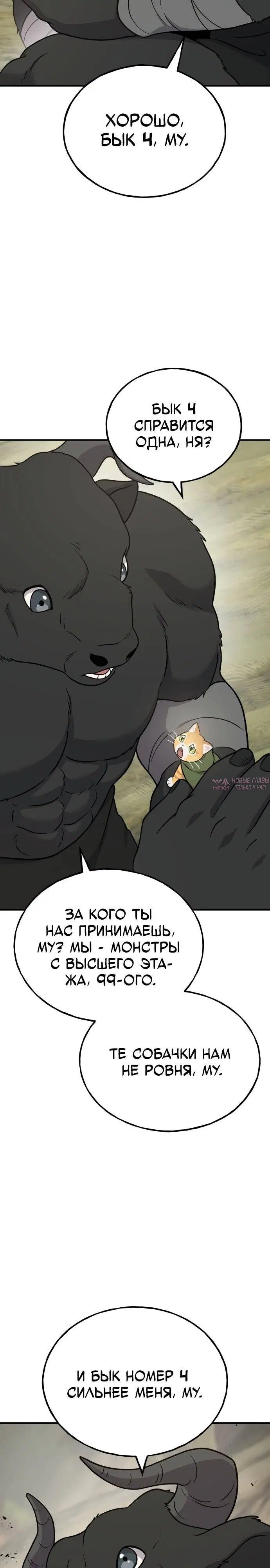 Page 35.000