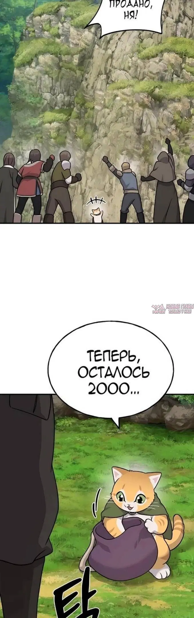 Page 35.000