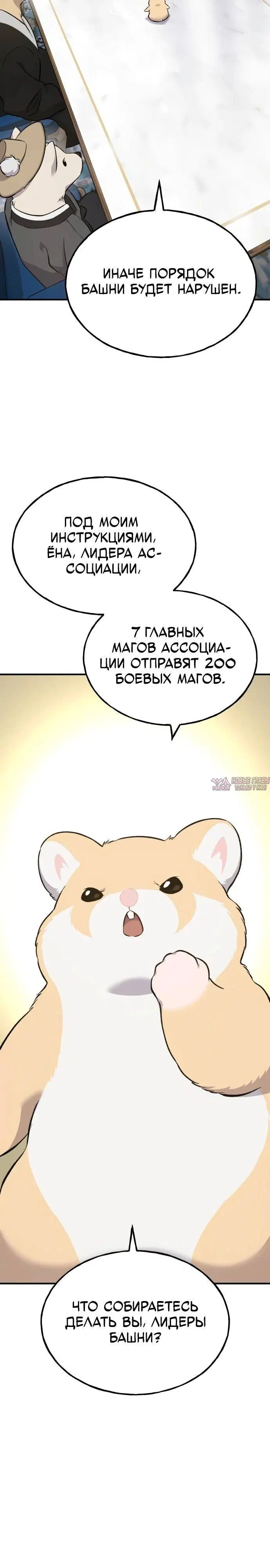 Page 35.000