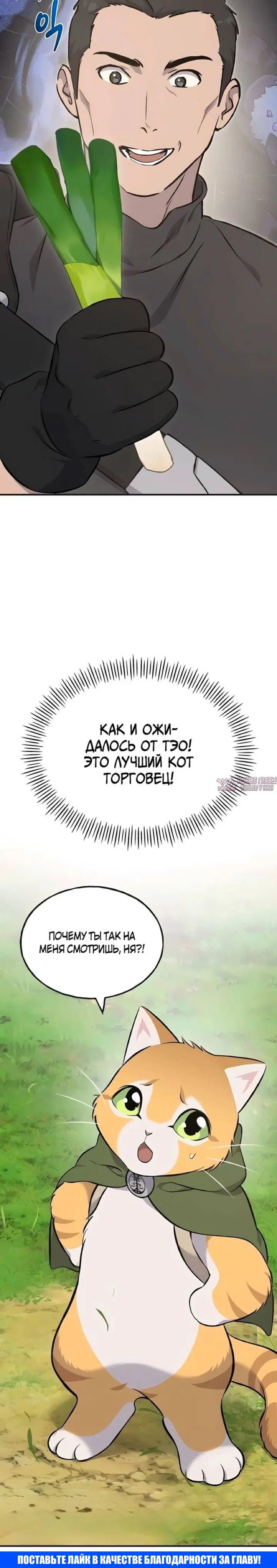 Page 35.000
