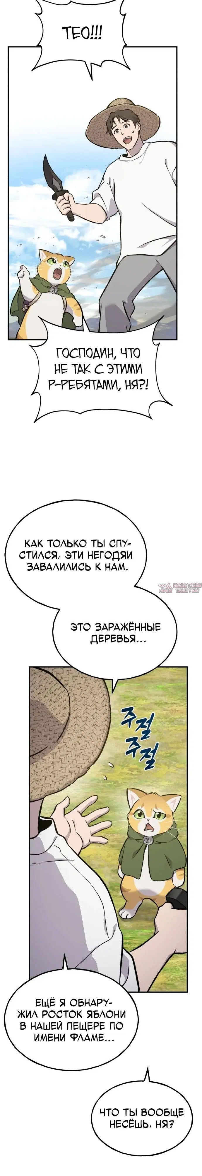Page 35.000
