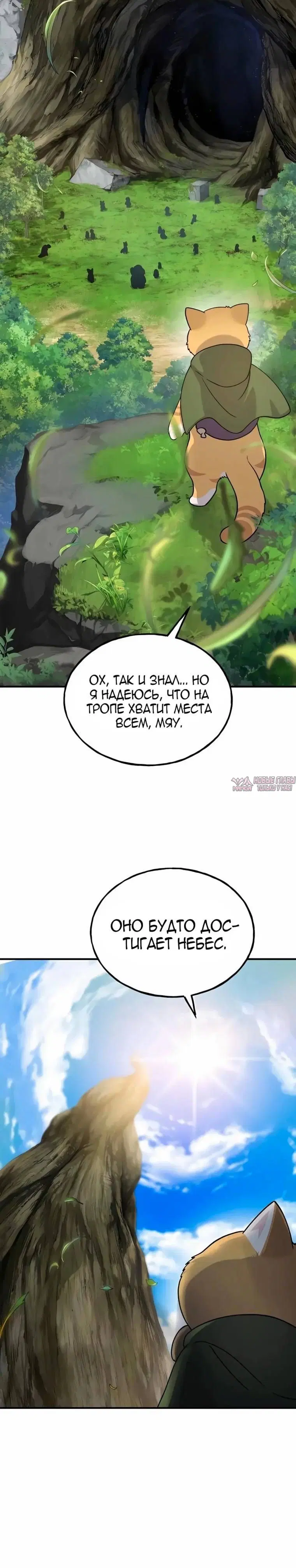Page 36.000