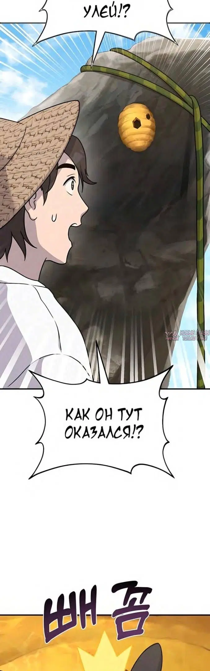 Page 36.000