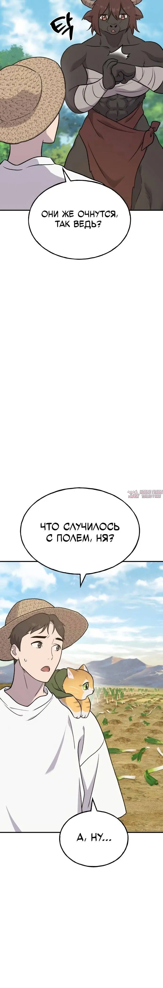 Page 36.000