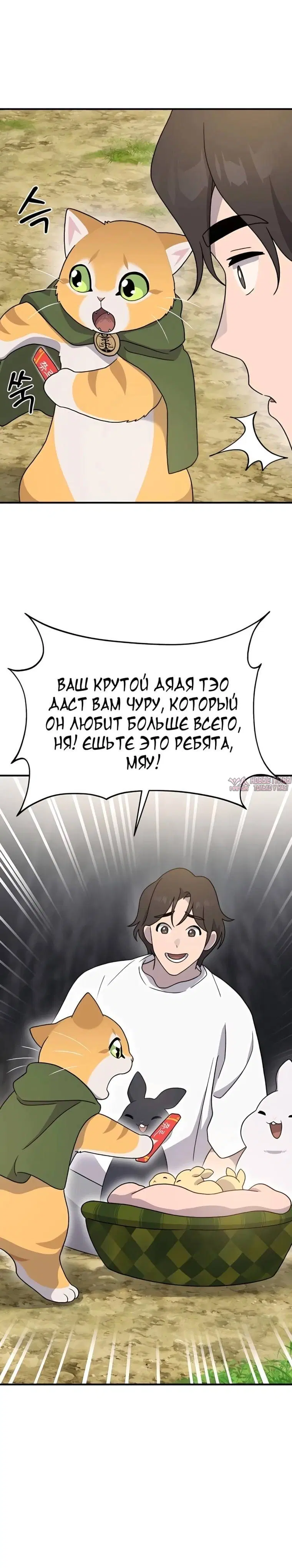 Page 37.000