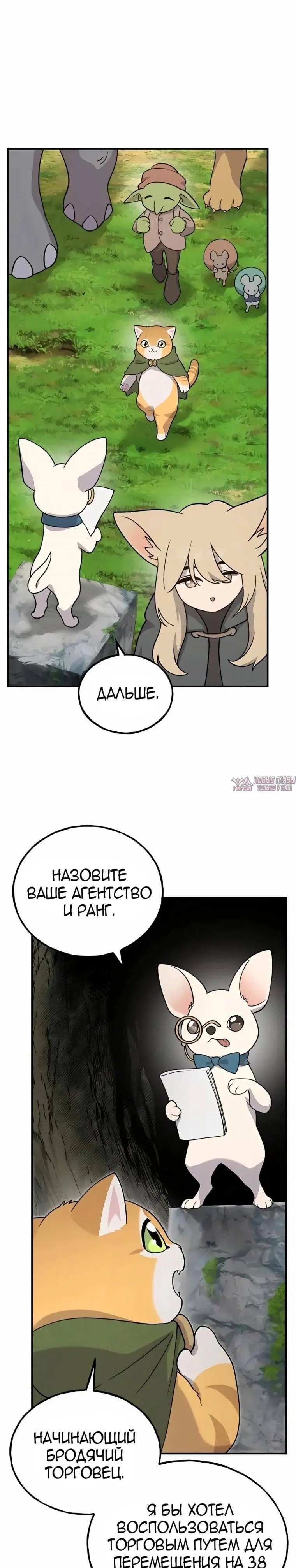 Page 37.000