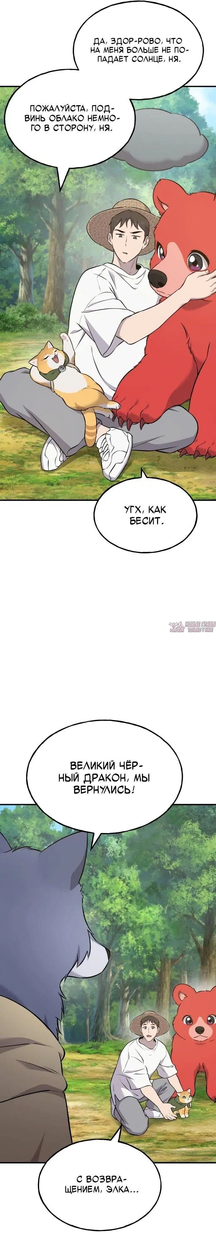 Page 37.000