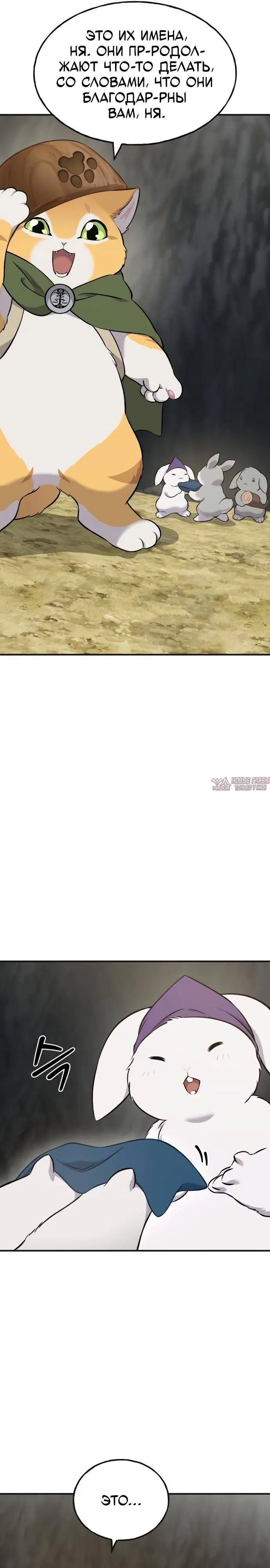 Page 37.000