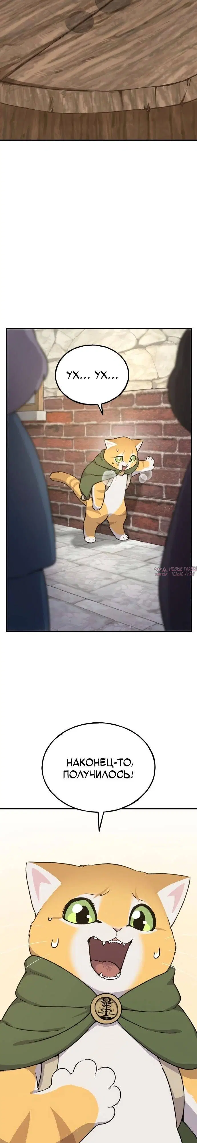 Page 37.000
