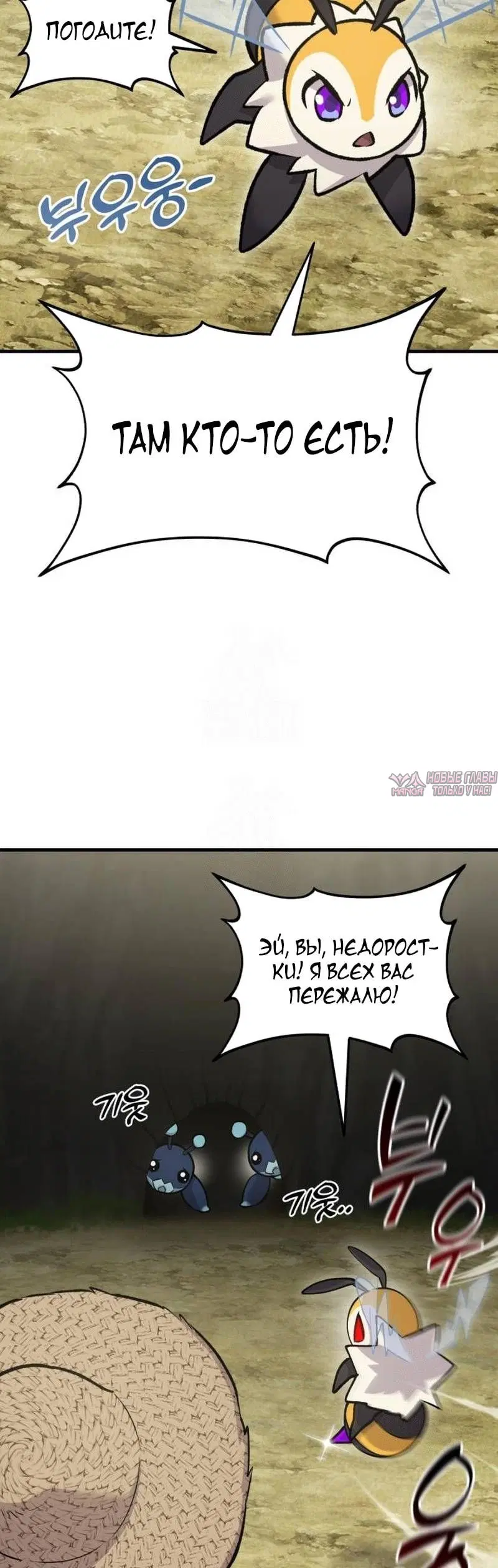 Page 38.000