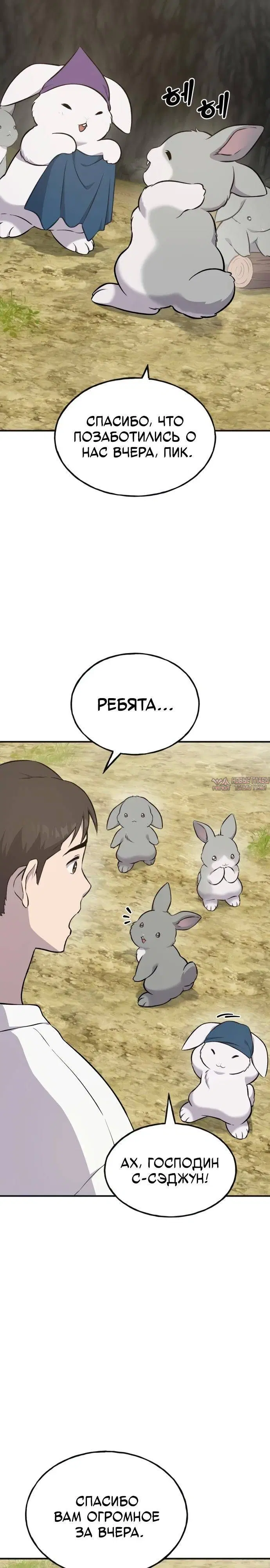 Page 38.000