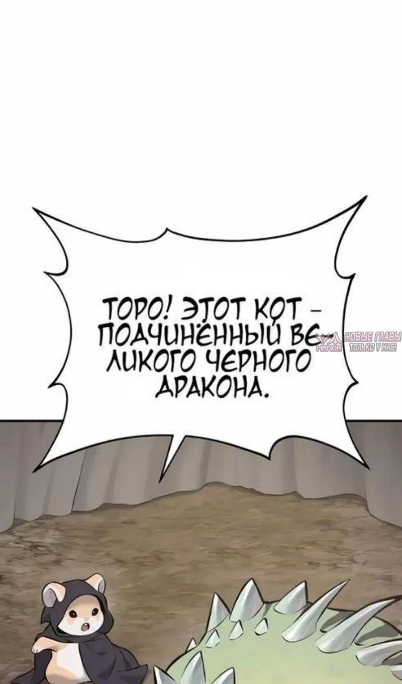 Page 38.000
