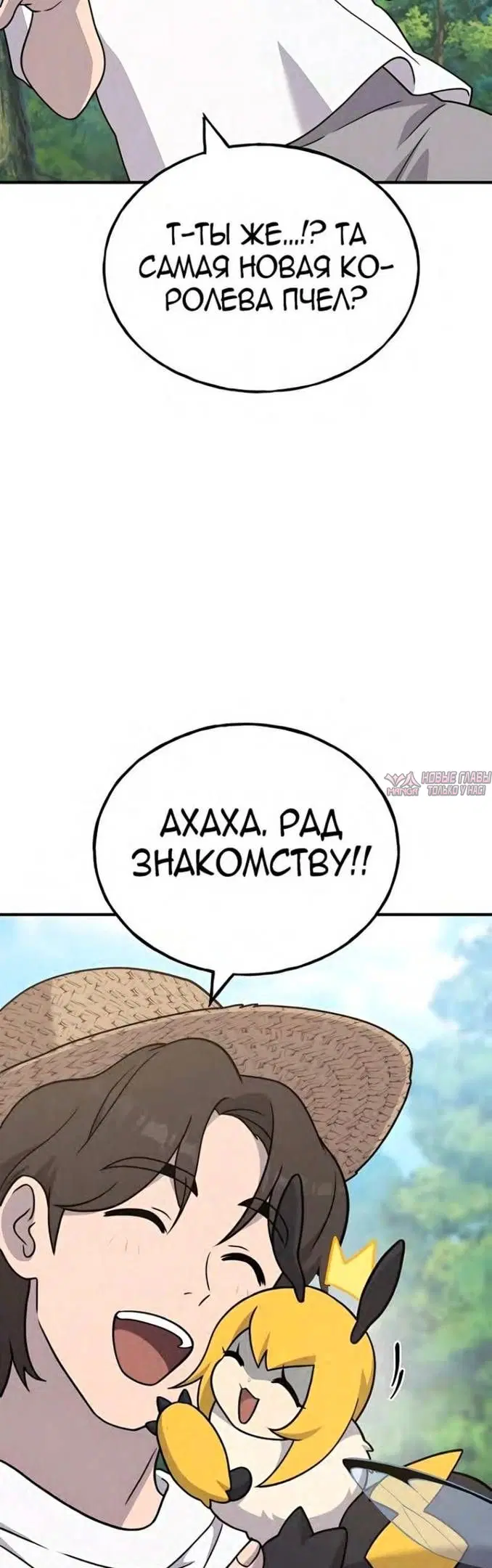 Page 39.000