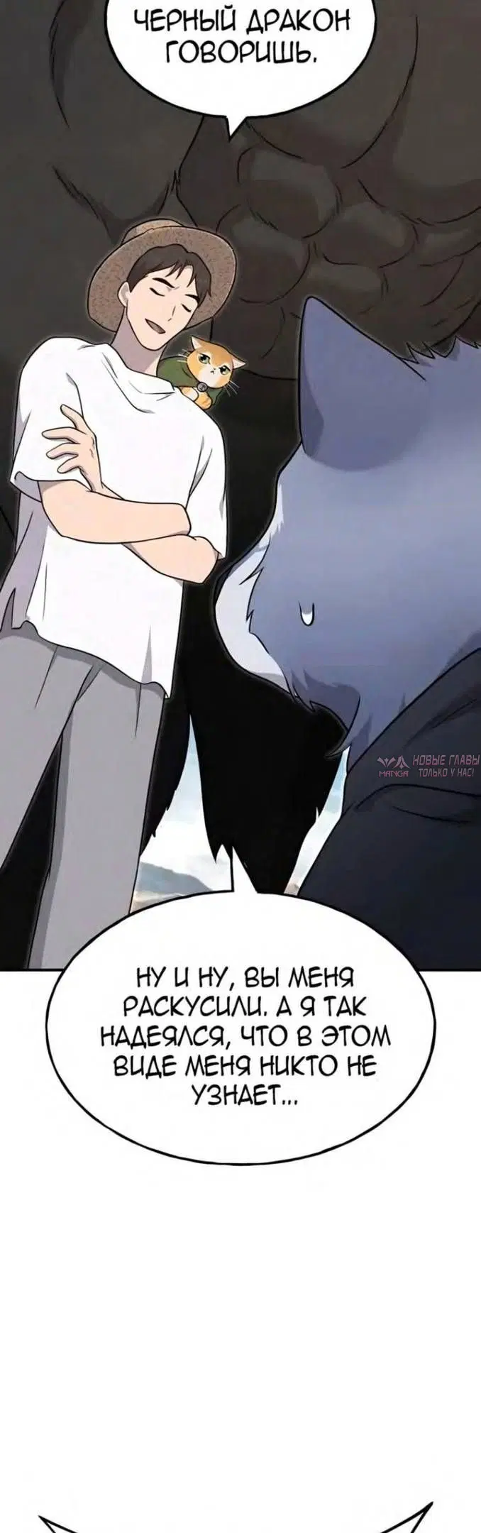 Page 39.000