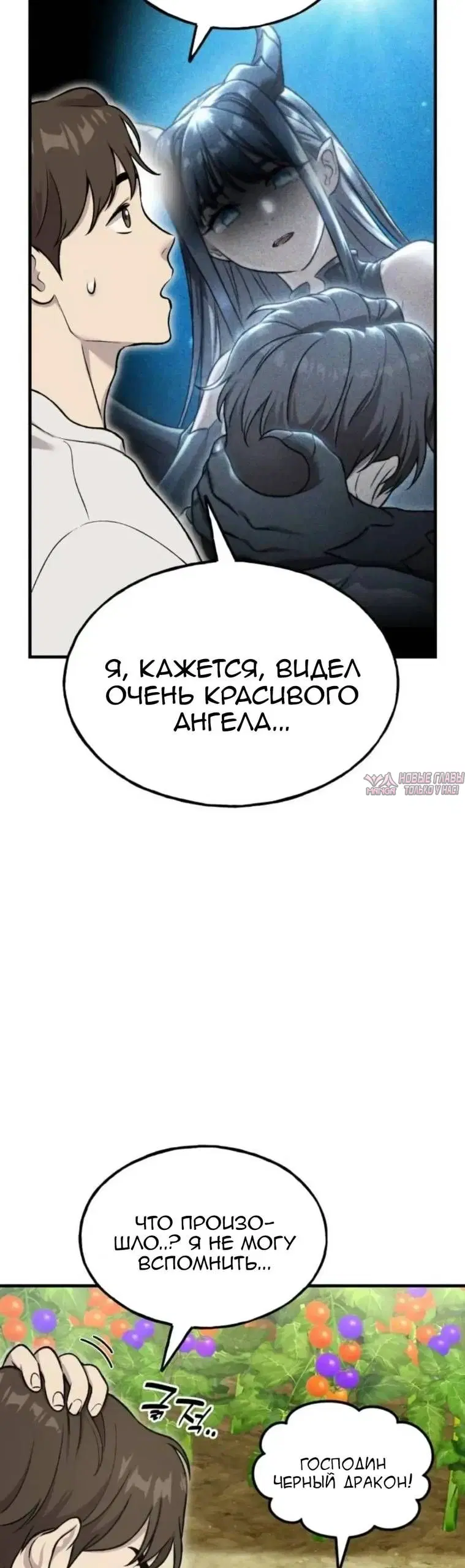 Page 39.000