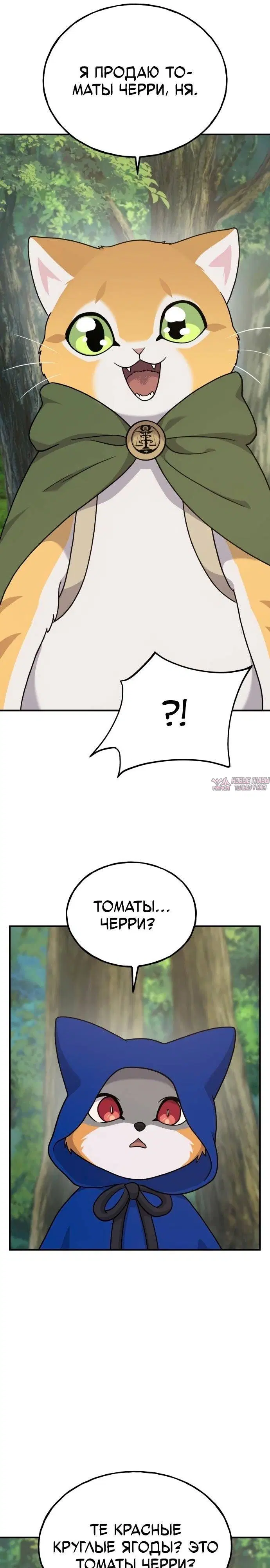Page 31.000