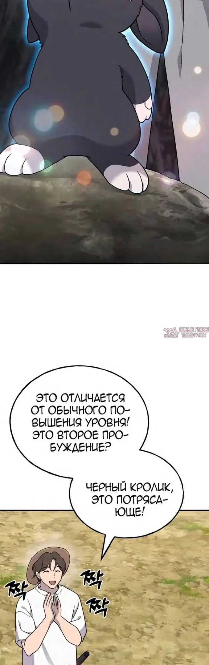 Page 31.000