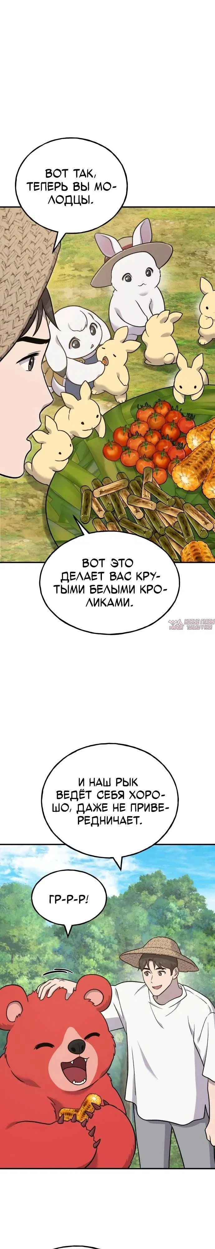 Page 31.000
