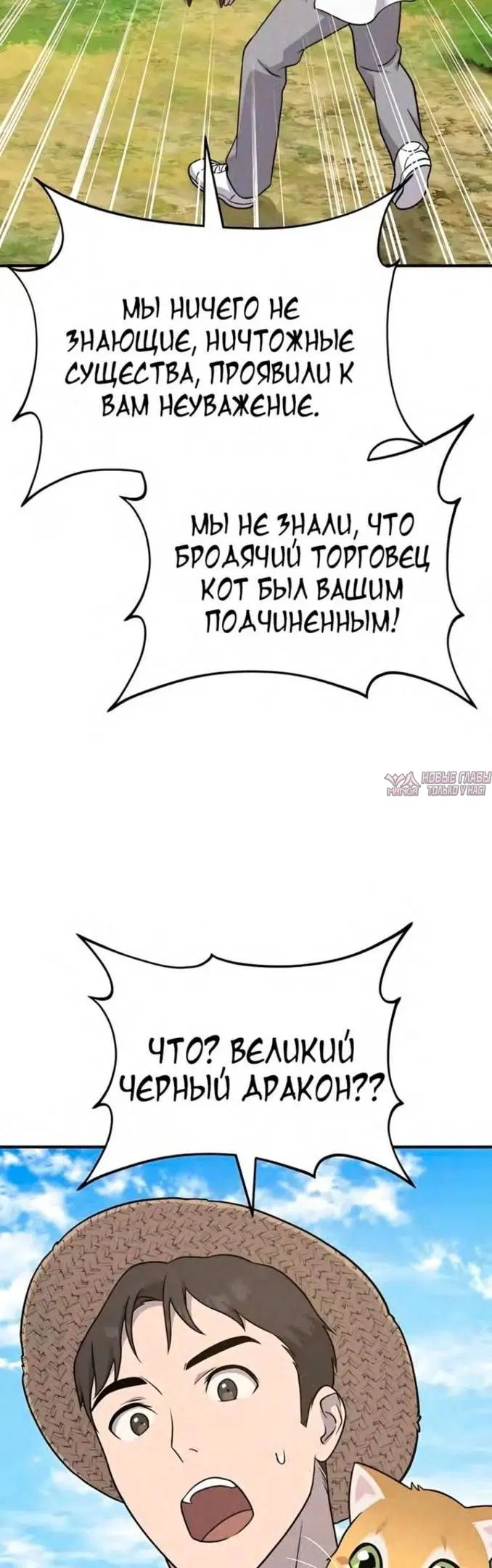 Page 31.000