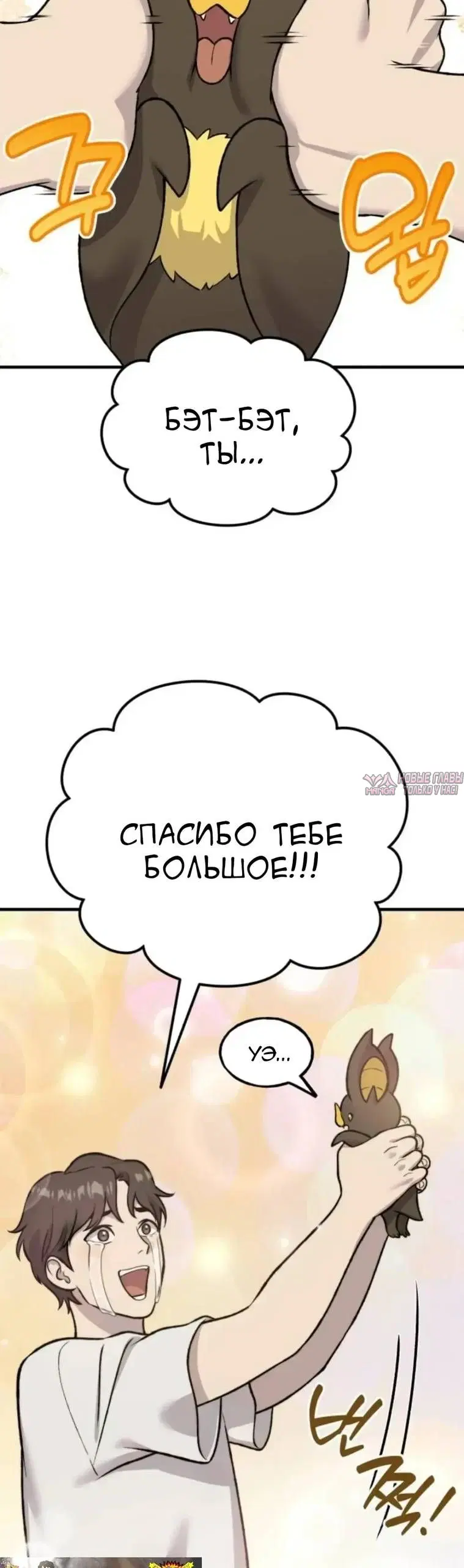 Page 31.000