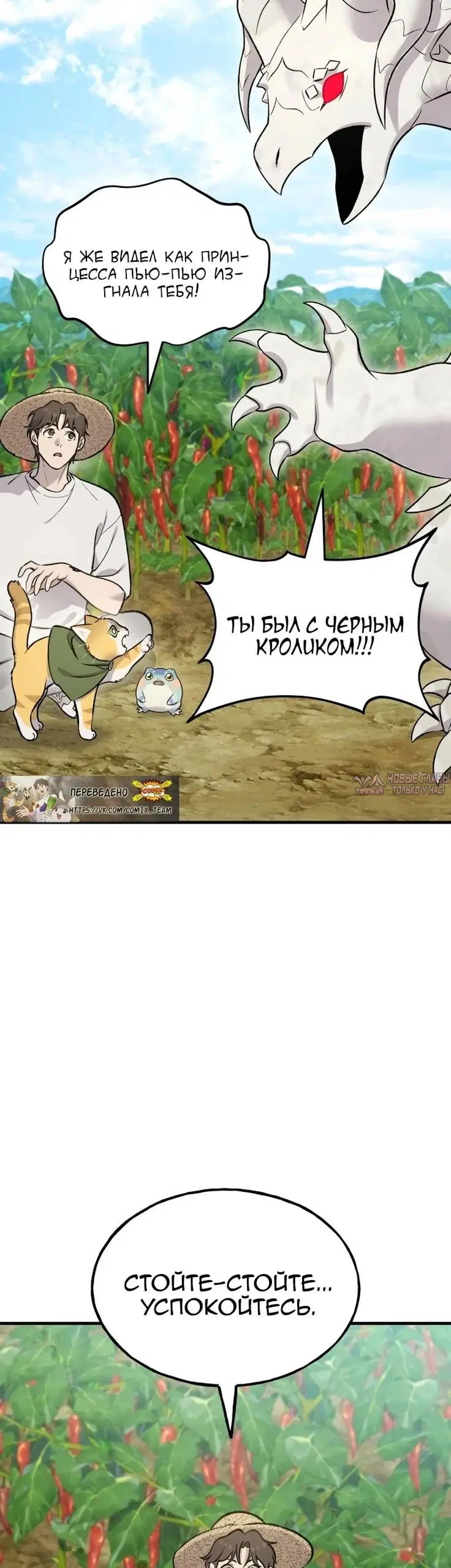 Page 31.000