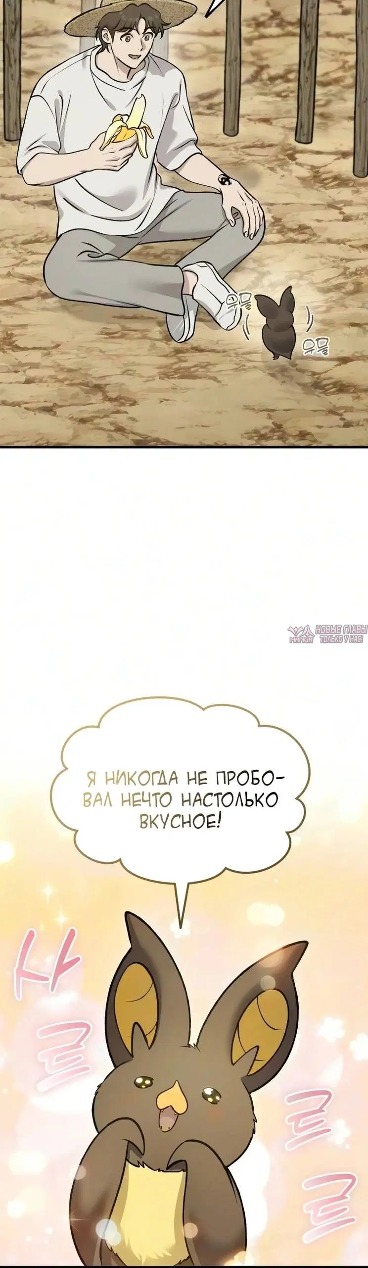 Page 31.000