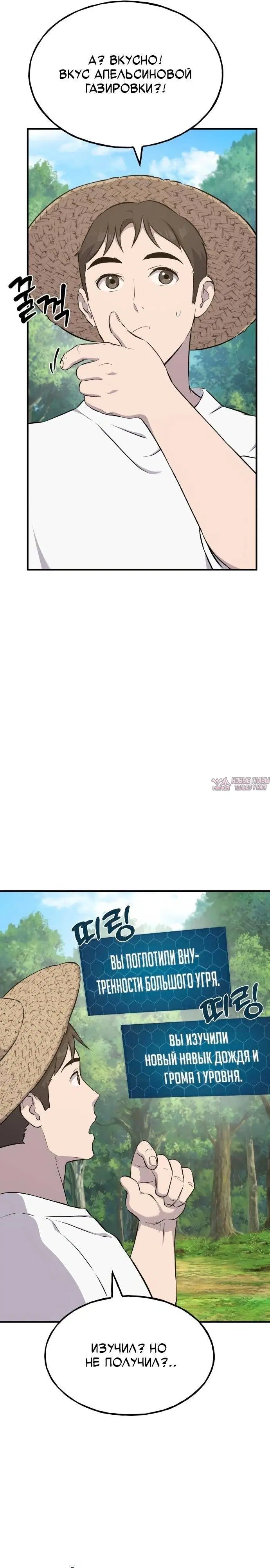 Page 31.000