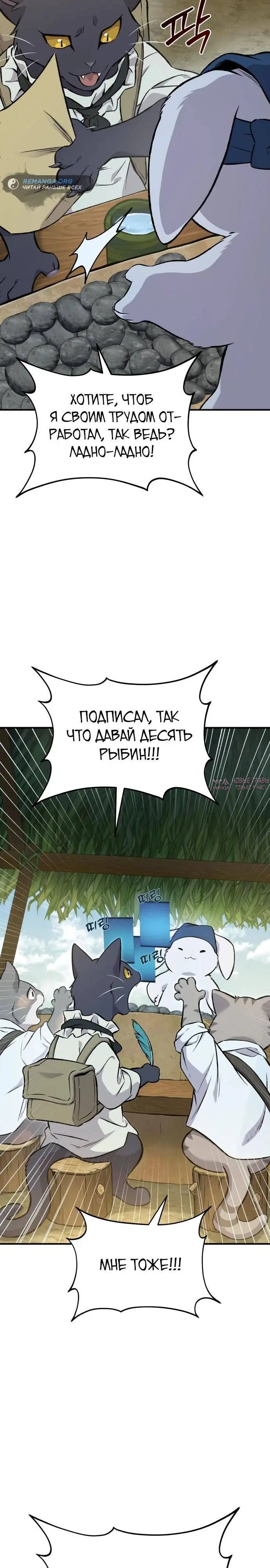 Page 31.000