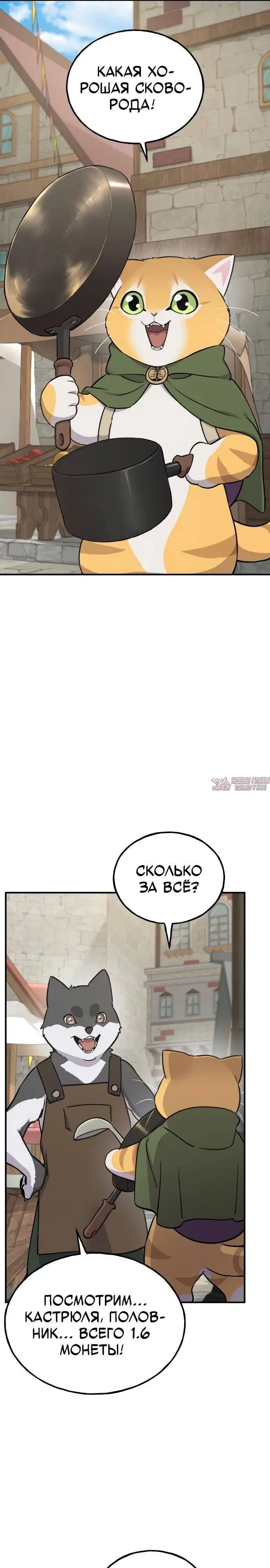 Page 31.000