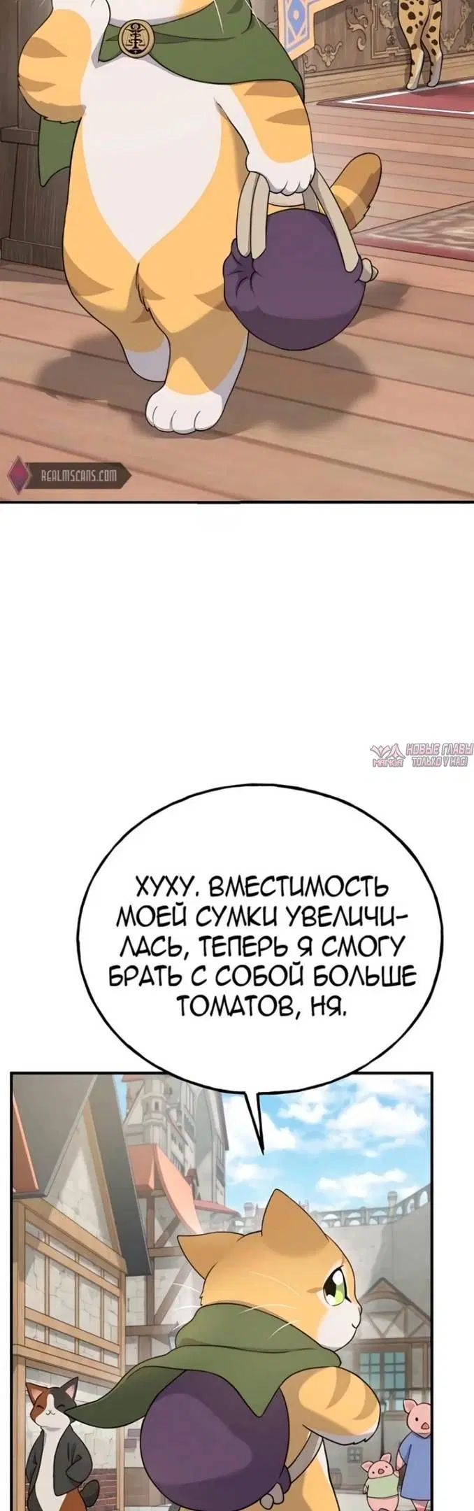 Page 31.000
