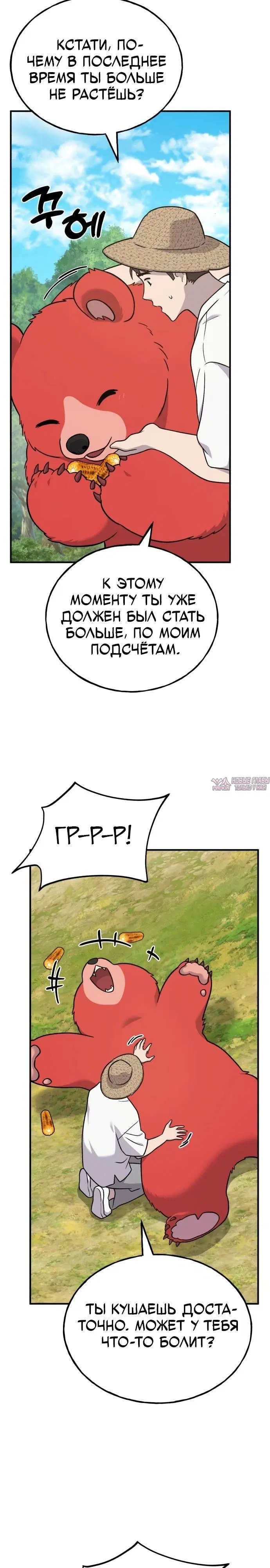 Page 32.000