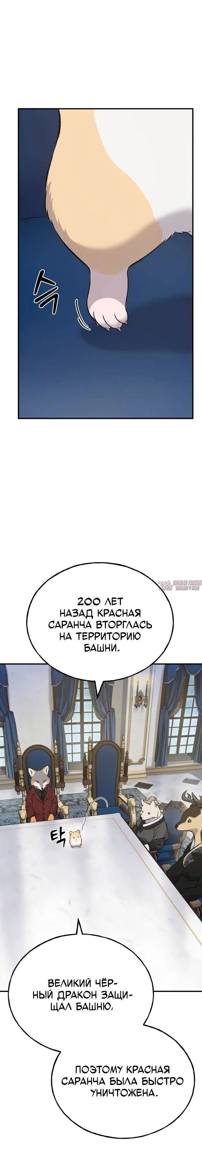 Page 32.000