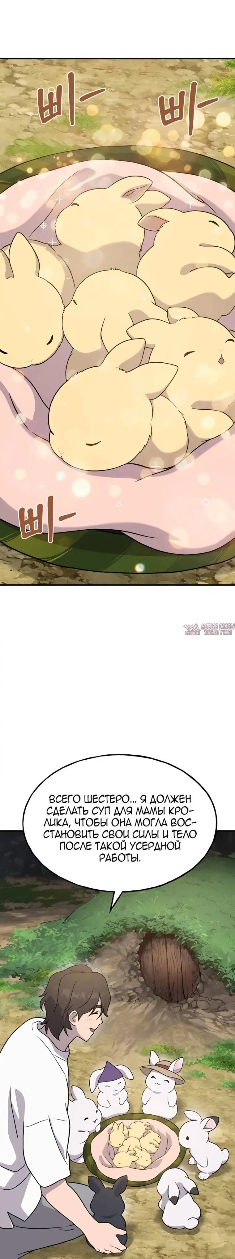 Page 33.000