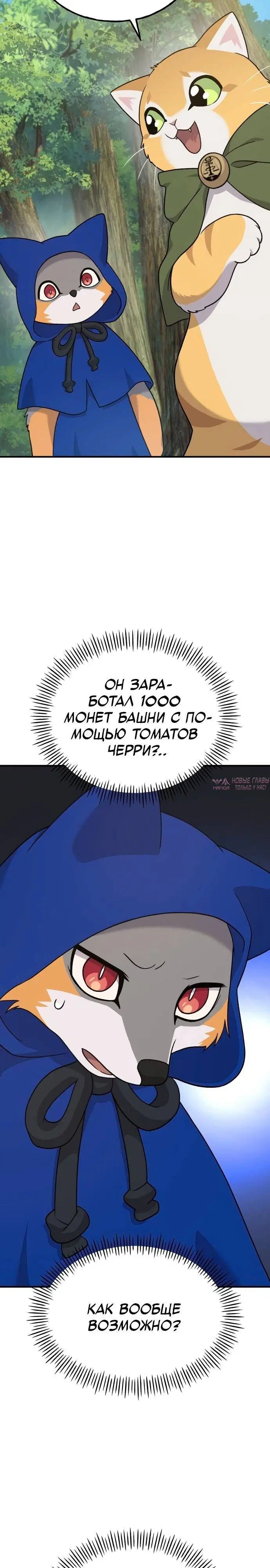 Page 33.000