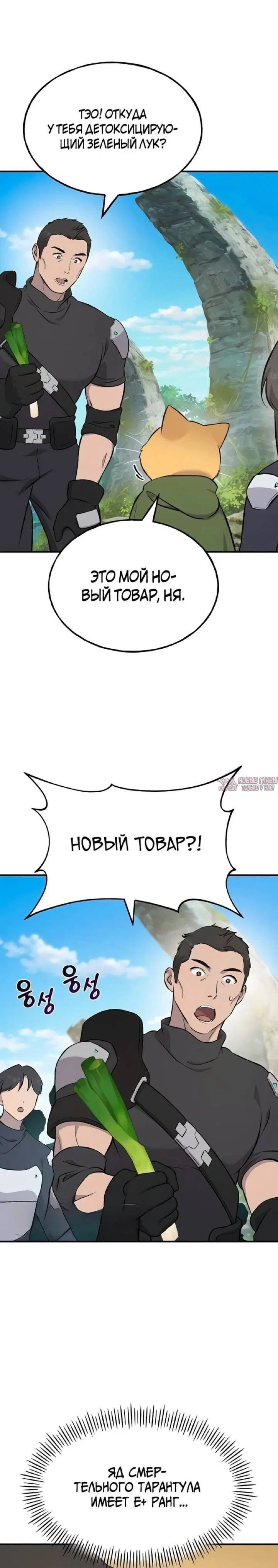 Page 33.000