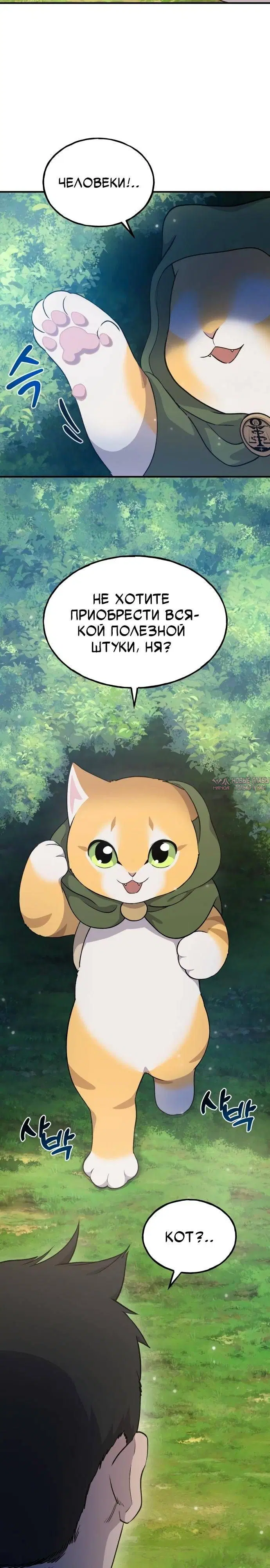 Page 33.000