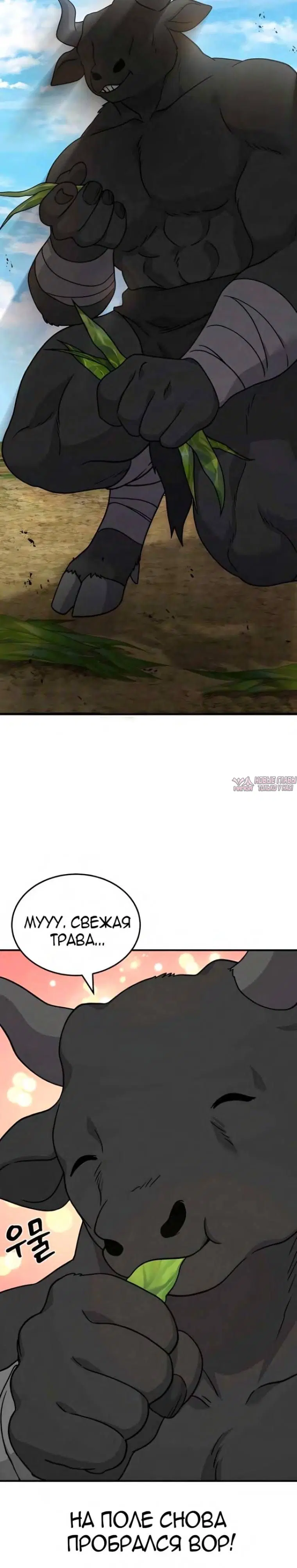 Page 44.000