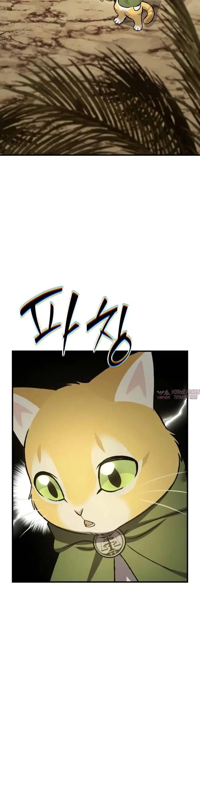 Page 44.000