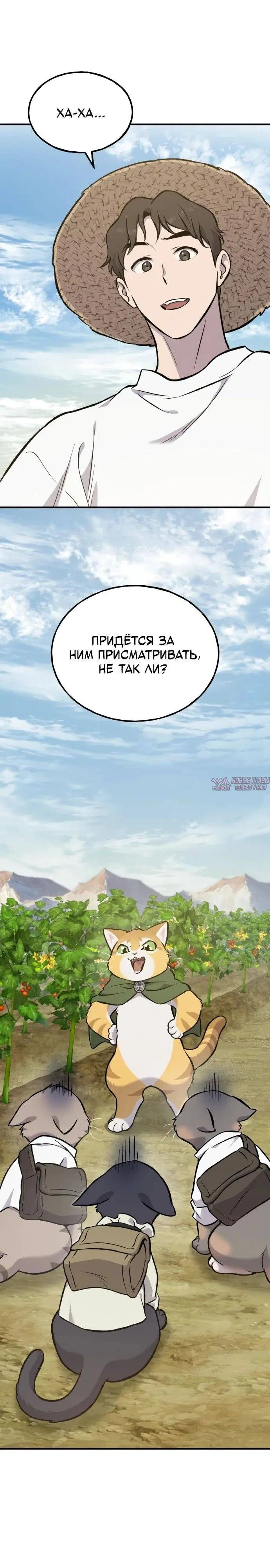 Page 44.000